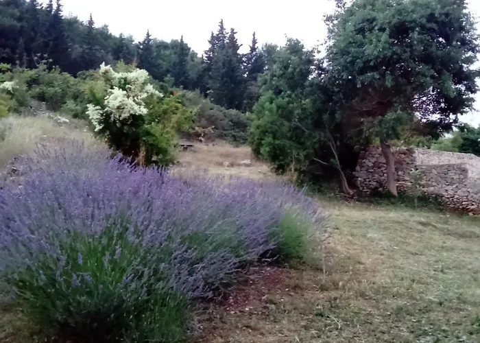 Summer House Kristof *